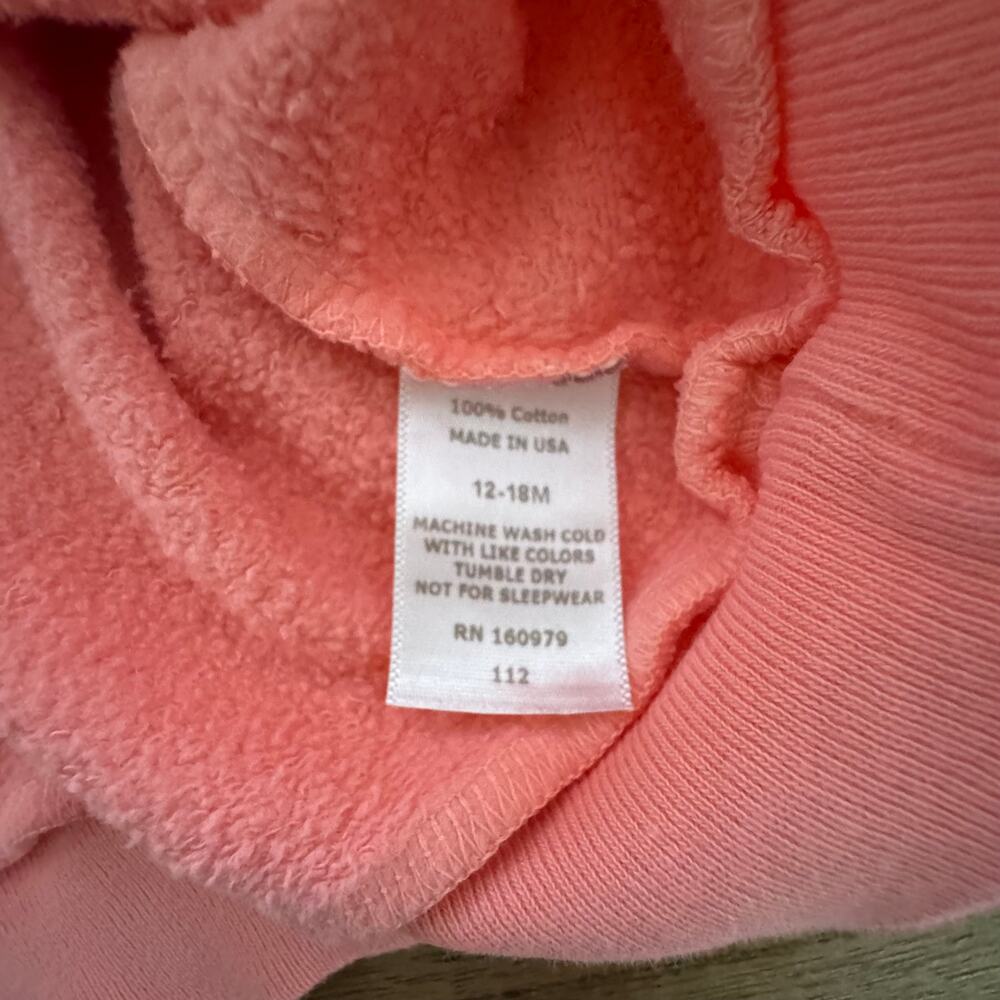 Ford and Wyatt Sissy Hoodie Sweatshirt - Size 12-18m - Picture 2 of 3